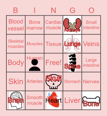 The Human Body Bingo Card