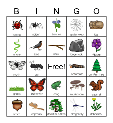 Nature W/ Words Bingo Card