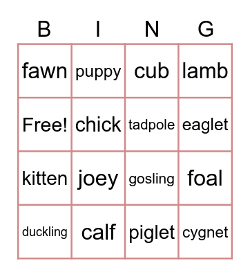 Baby animals Bingo Card