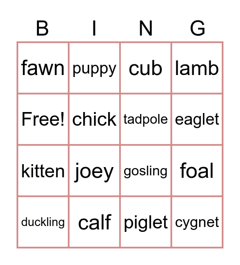 Baby animals Bingo Card