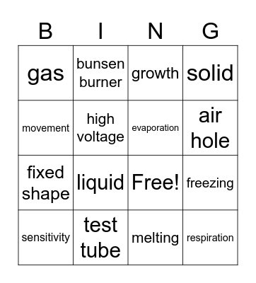 Revision Bingo students Bingo Card