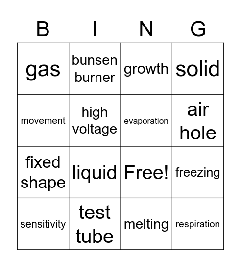 Revision Bingo students Bingo Card