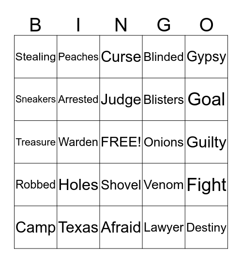 Holes Vocabulary Bingo Card