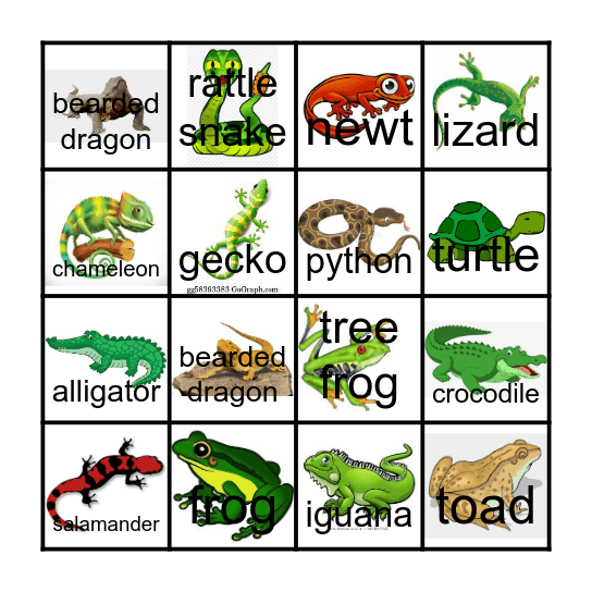 Amphibian and Reptile Bingo Card