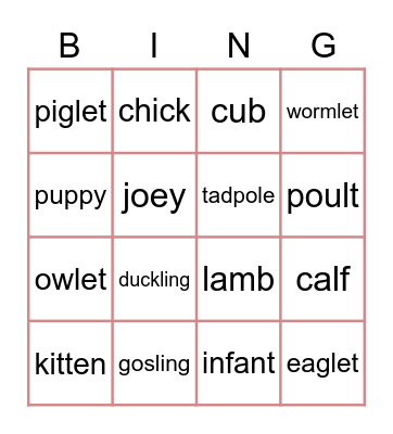 Baby animals Bingo Card