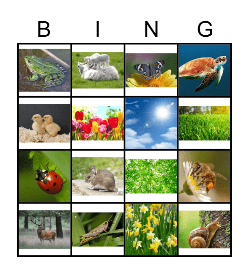 Engelse Lente Bingo Card