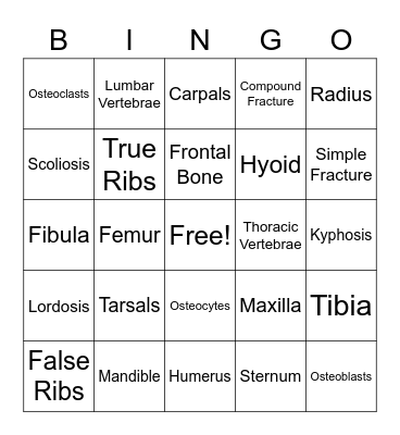 Skeletal System Bingo Card