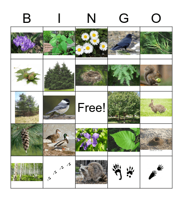 Cubs Spring Bingo Card