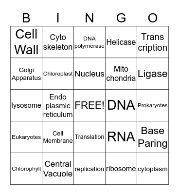 DNA and Cells Bingo Card