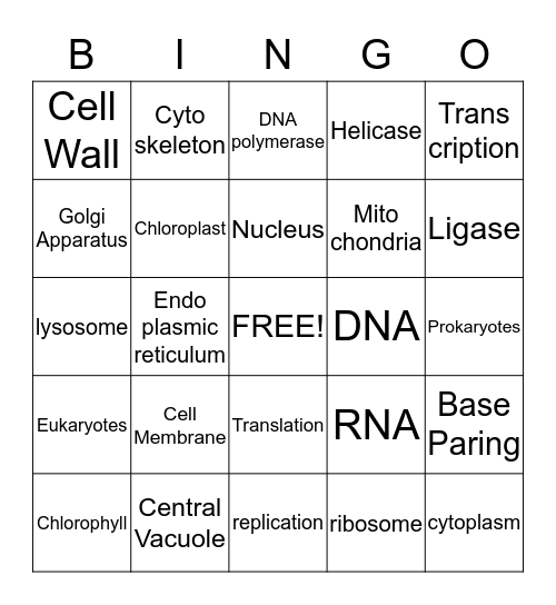DNA and Cells Bingo Card