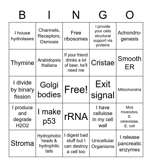 Organelles (CMB) Bingo Card