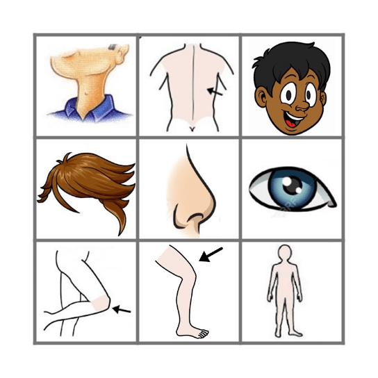 Bingo Cuerpo Humano Bingo Card