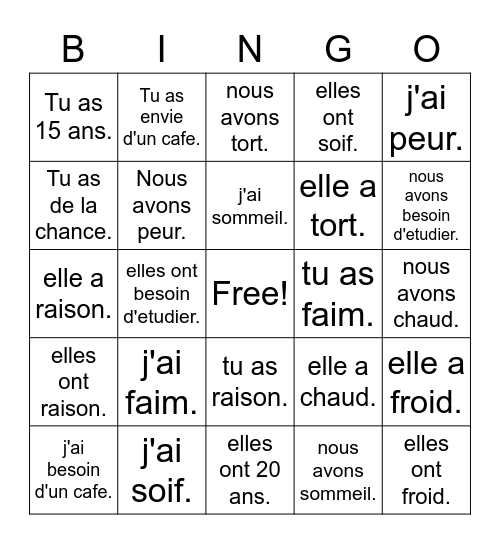 Discovering French avoir/avoir expressions Bingo Card