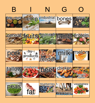 Plant and animal products Bingo Card