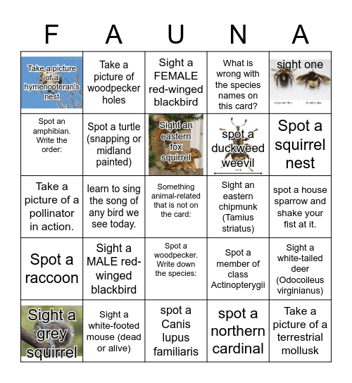 Lake Abram Bingo Card