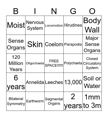 Annelida Bingo Card