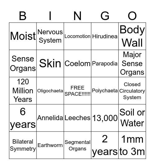 Annelida Bingo Card