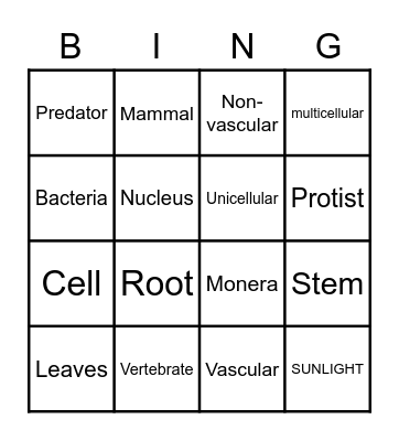 Science BIS Bingo Card