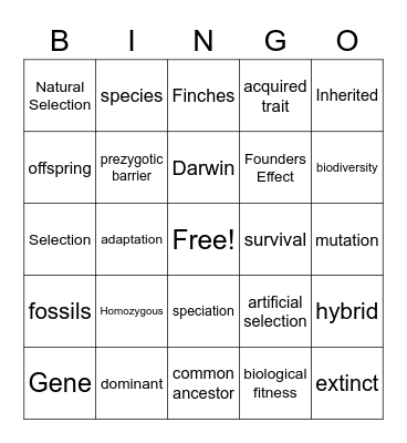 Evolution BINGO Card