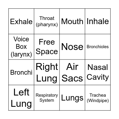 Respiratory System Bingo Card