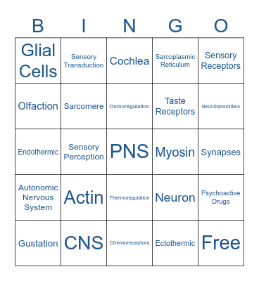 Exam 4 test prep Bingo Card