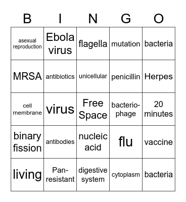 Bacteria versus Viruses Bingo Card