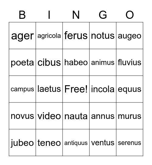 Latin Chapter 14 & 15 Bingo Card