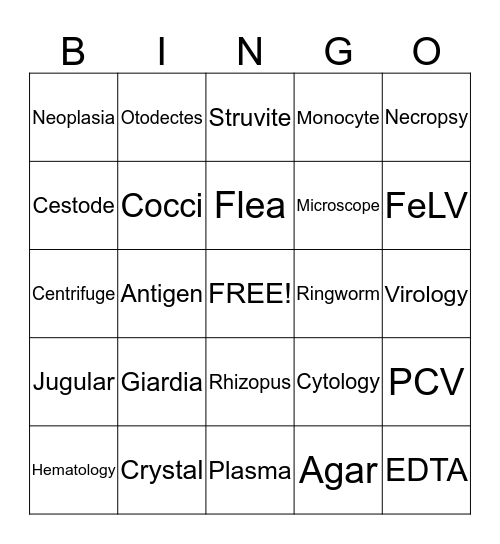 VTA 130 Bingo Card