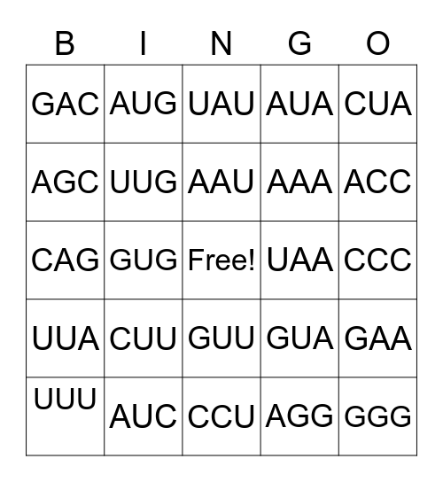 Codon Bingo! Bingo Card