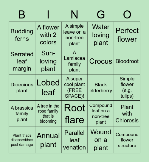 Horticulture Club Bingo Card