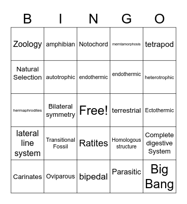 Zoology Bingo Card