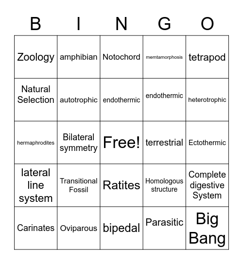 Zoology Bingo Card