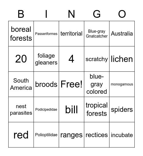 Polioptilidae Bingo Card