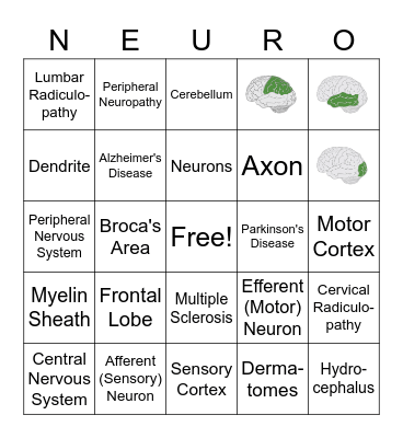 Neuroscience Bingo Card