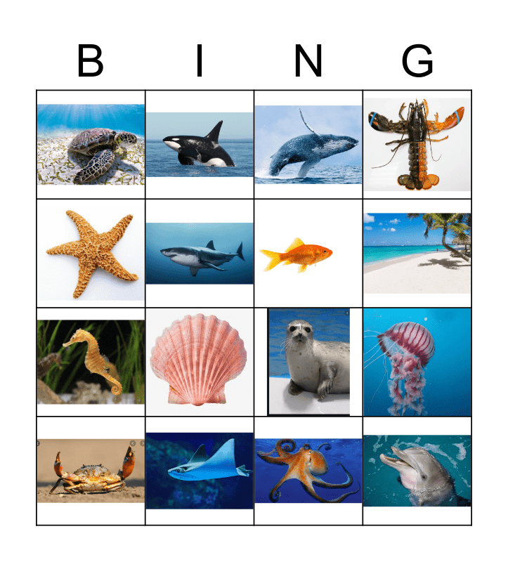 ANIMALES MARINOS Bingo Card