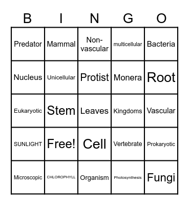 Science BIS Bingo Card