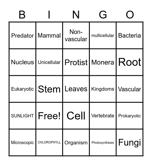 Science BIS Bingo Card