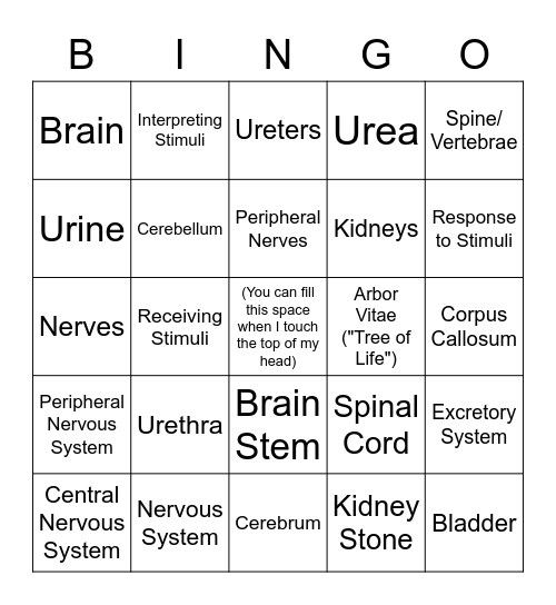 Nervous System and Excretory System Bingo Card