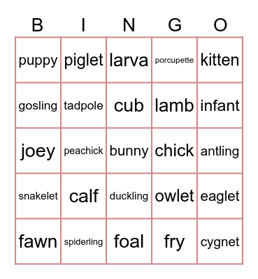 Baby animals Bingo Card
