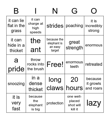 Lesson 73 BINGO Card