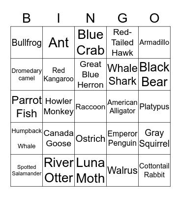 Animal Adaptation Bingo  Bingo Card