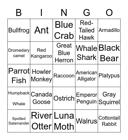 Animal Adaptation Bingo  Bingo Card