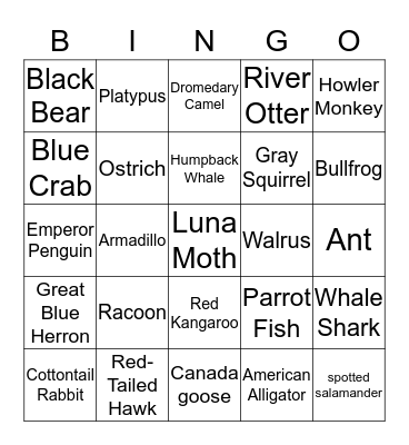 Animal Adaptation Bingo Card