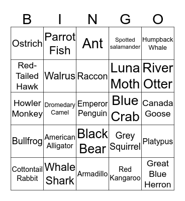 Animal Adaptation Bingo  Bingo Card
