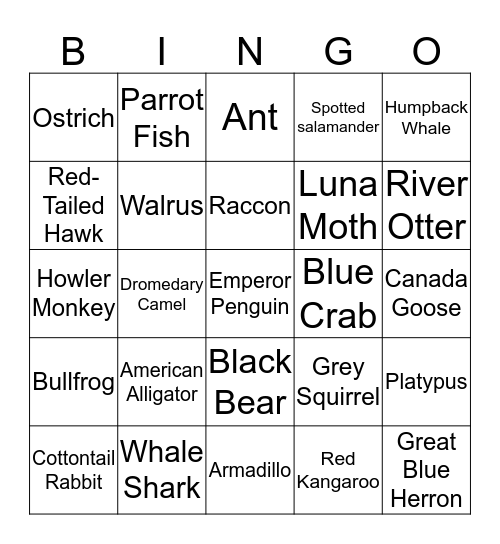 Animal Adaptation Bingo  Bingo Card