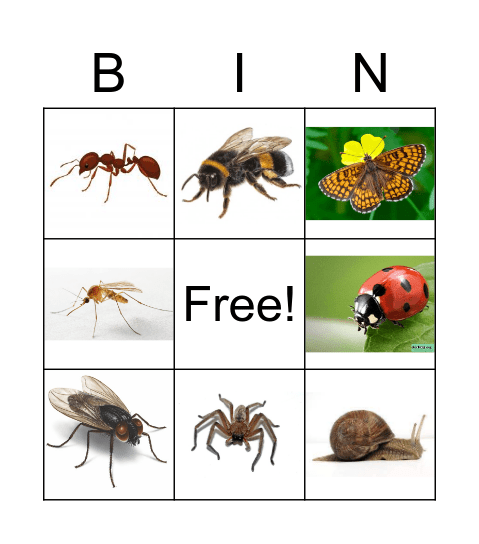 PUTUKAD Bingo Card