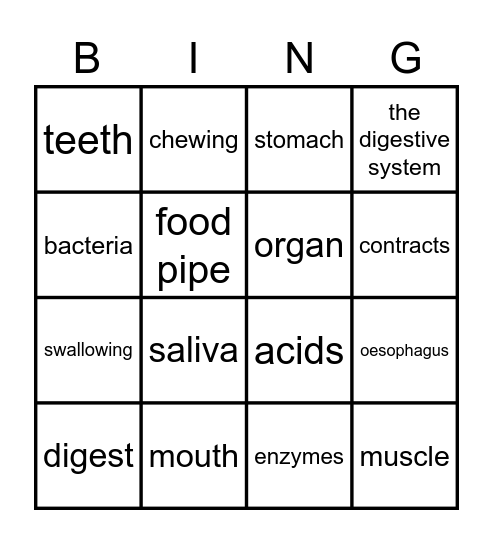 The digestive system Bingo Card