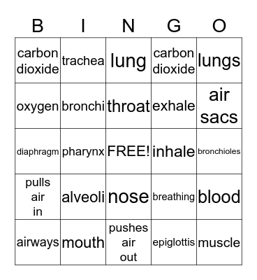 Respiratory System Bingo Card