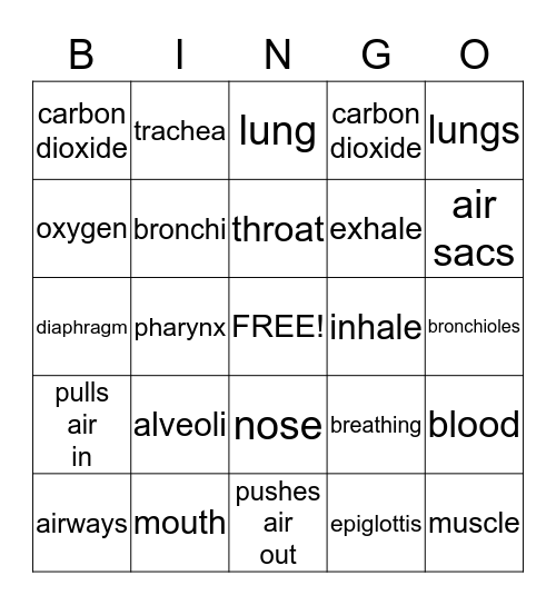 Respiratory System Bingo Card