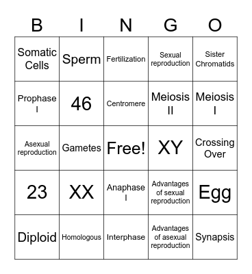 Meiosis Bingo Card